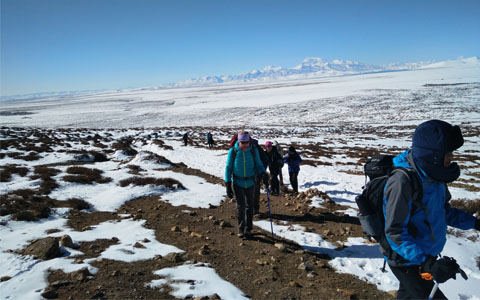 Mount Kailash Tour Advice