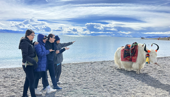 Lhasa to Namtso Lake tour in summer