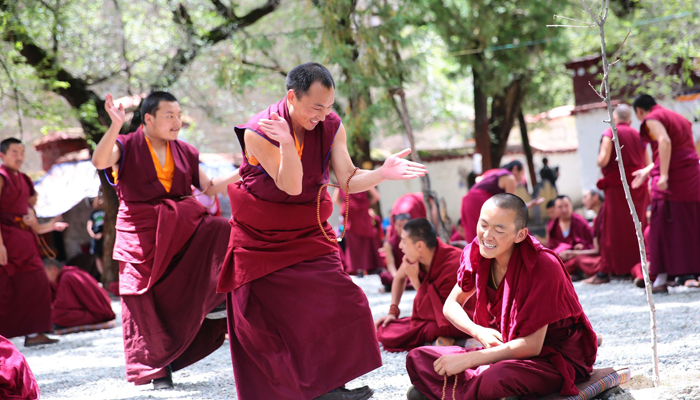 Watch monk debating at Sera Monastery