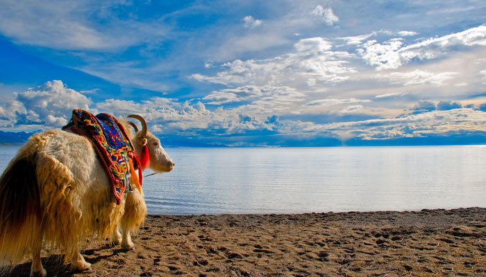 Namtso Lake