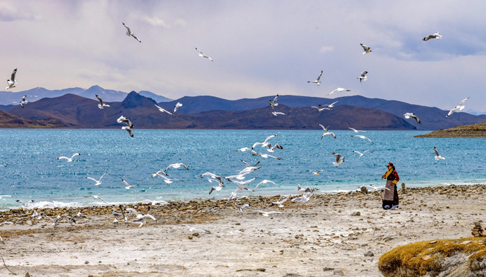 Yamdrok Lake tour